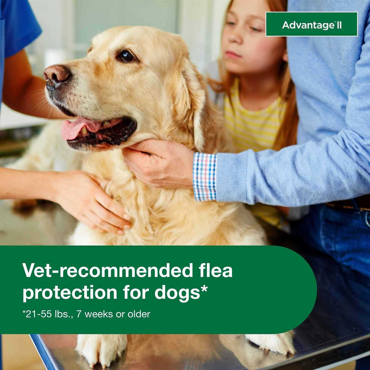 Advantage II for Dogs U11676