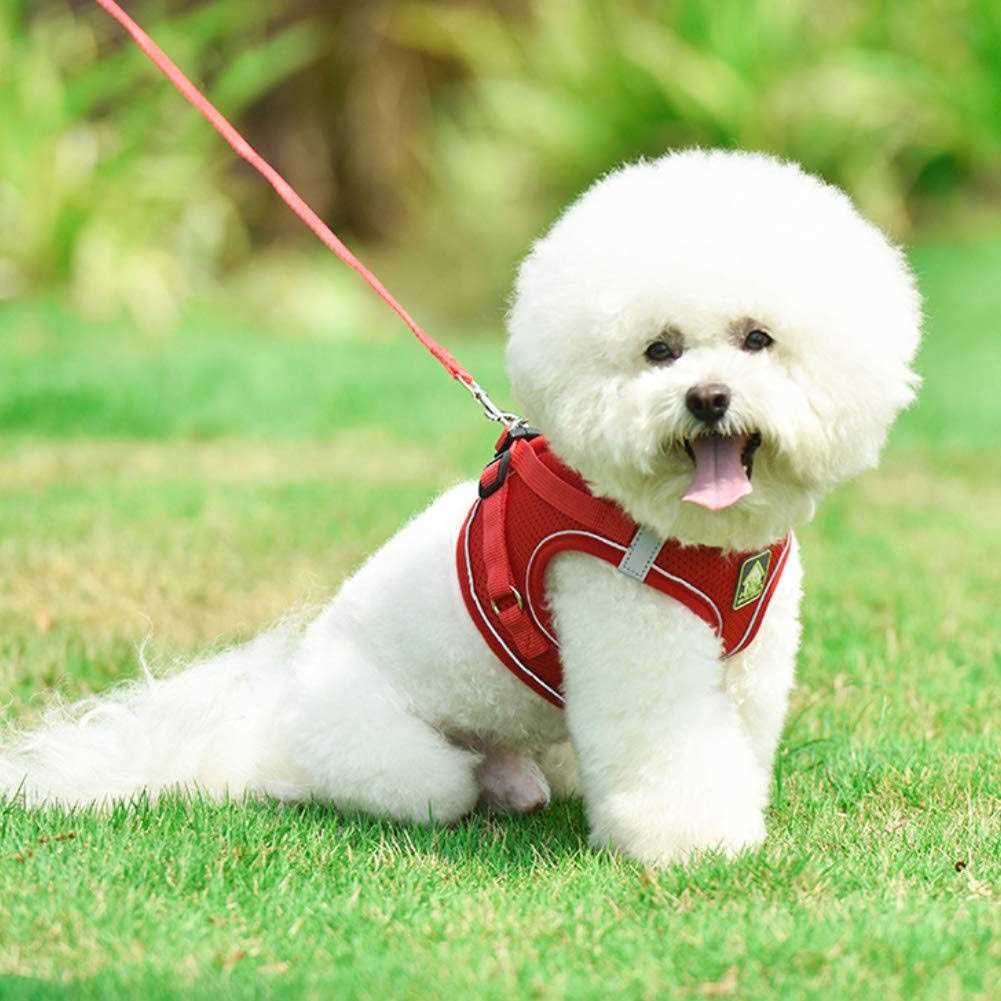 Soft Mesh Reflective Adjustable Dog Harness and Leash Set S632