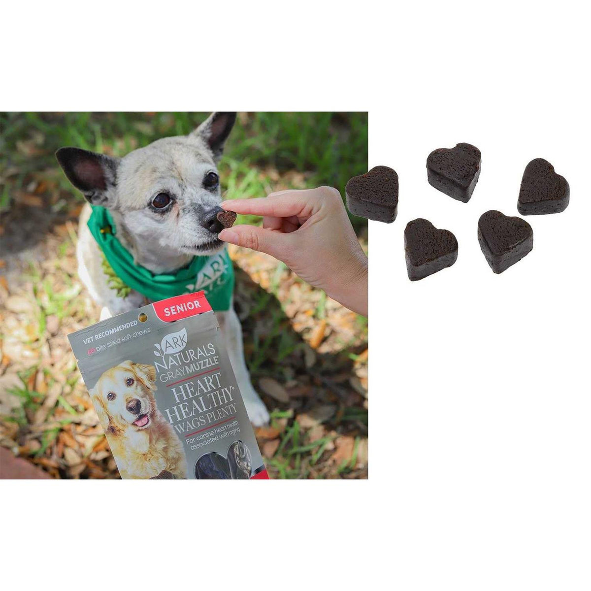 Heart Healthy Pet Supplies H5345