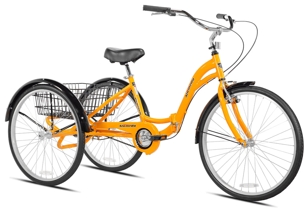 Blue Folding Adult Trike G45650