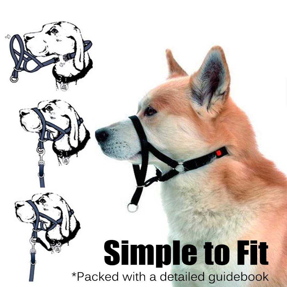 Dog Head Collar No Pull Training Tool E97332
