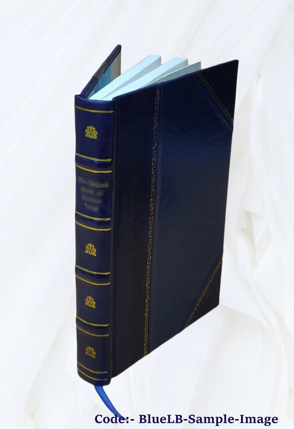 New Amsterdam Records 1653 to 1674 Leather Bound H28404