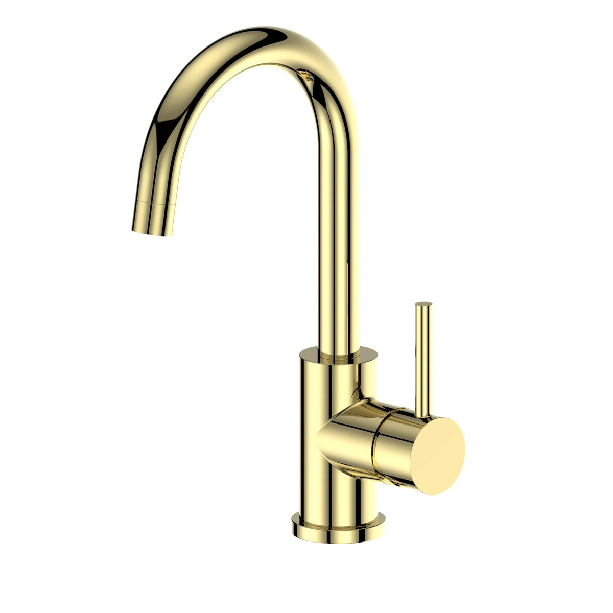 Polished Gold Kitchen Faucet F102605