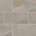 12 in. x 24 in. Polished Porcelain Floor and Wall Tile T6633