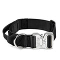 Heavy Duty Dog Collar with Metal Buckle W809