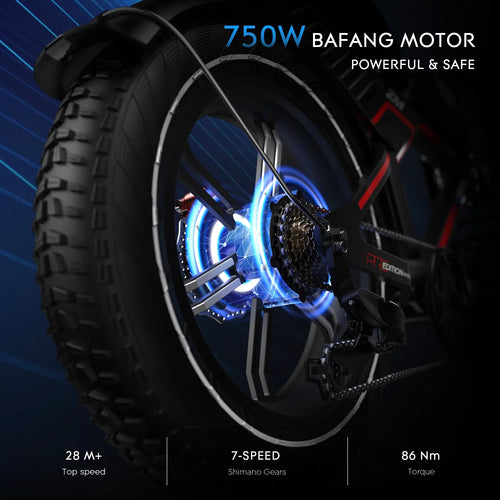 20X4.0 Fat Tire 750W Motor Off-Road Electric Bike C724103