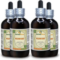 Organic Dried Herb Liquid Extract 4x4 fl.oz D410