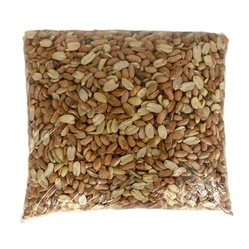 Raw Out of Shell Peanuts 10 Pounds V89267