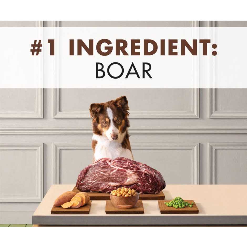 Grain Free Lamb Goat Venison Dry Dog Food N301