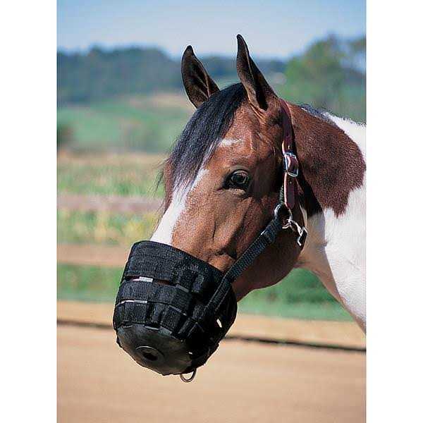 Leather Grazing Muzzle F33344