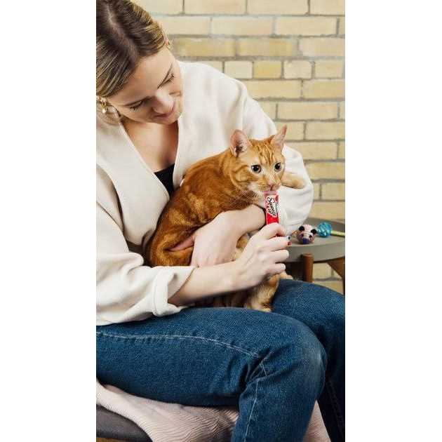 Squeeze Up Cat Treats N99128