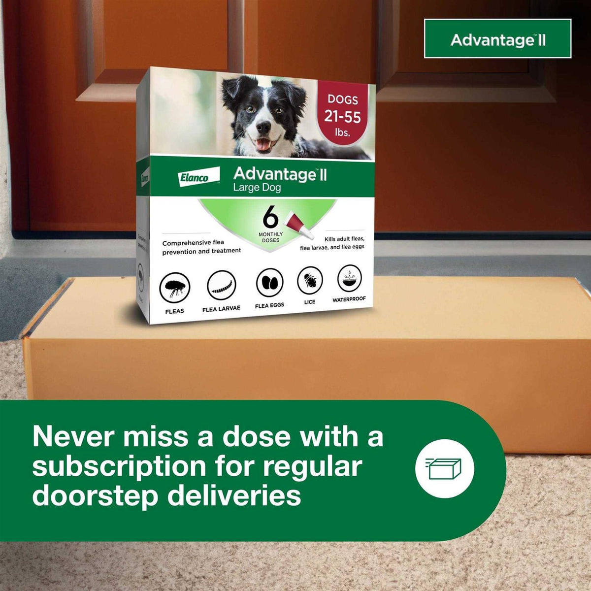 Advantage II for Dogs U11676