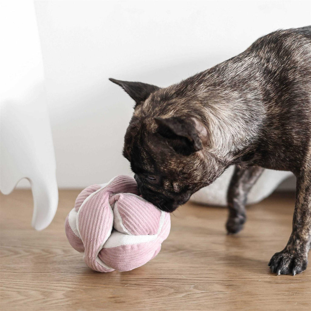 Dog Toy E340224