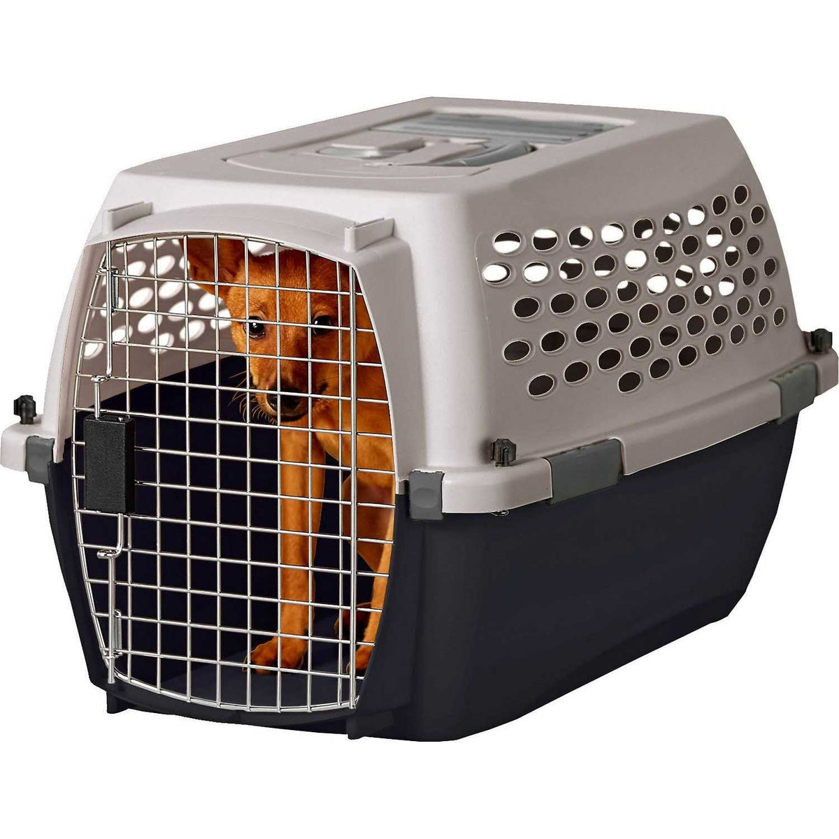 Pet Kennel Q975