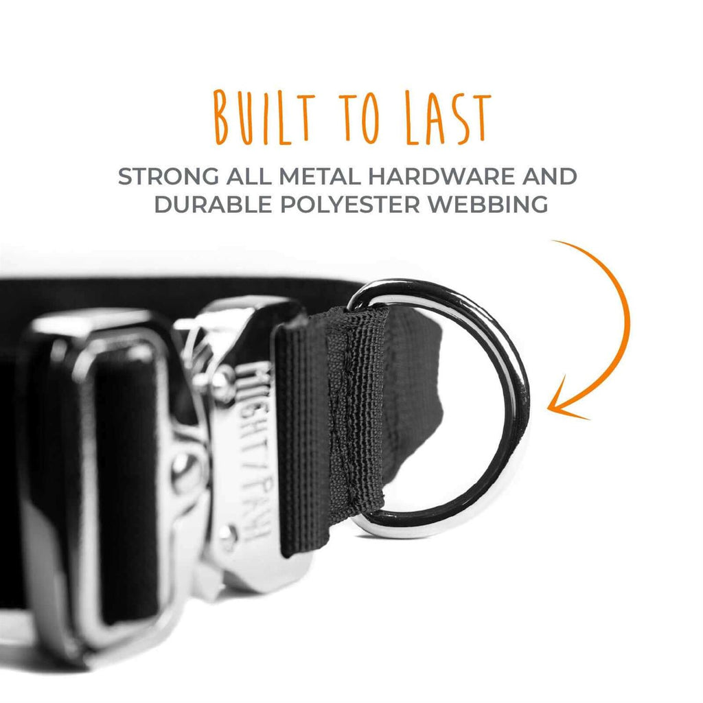 Heavy Duty Dog Collar with Metal Buckle W809
