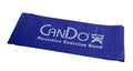 Blue Heavy Exercise Band T36001