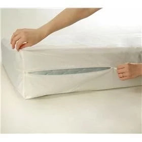 Firm Foam Eurotop Queen Mattress Set with Mattress Protector Z1247