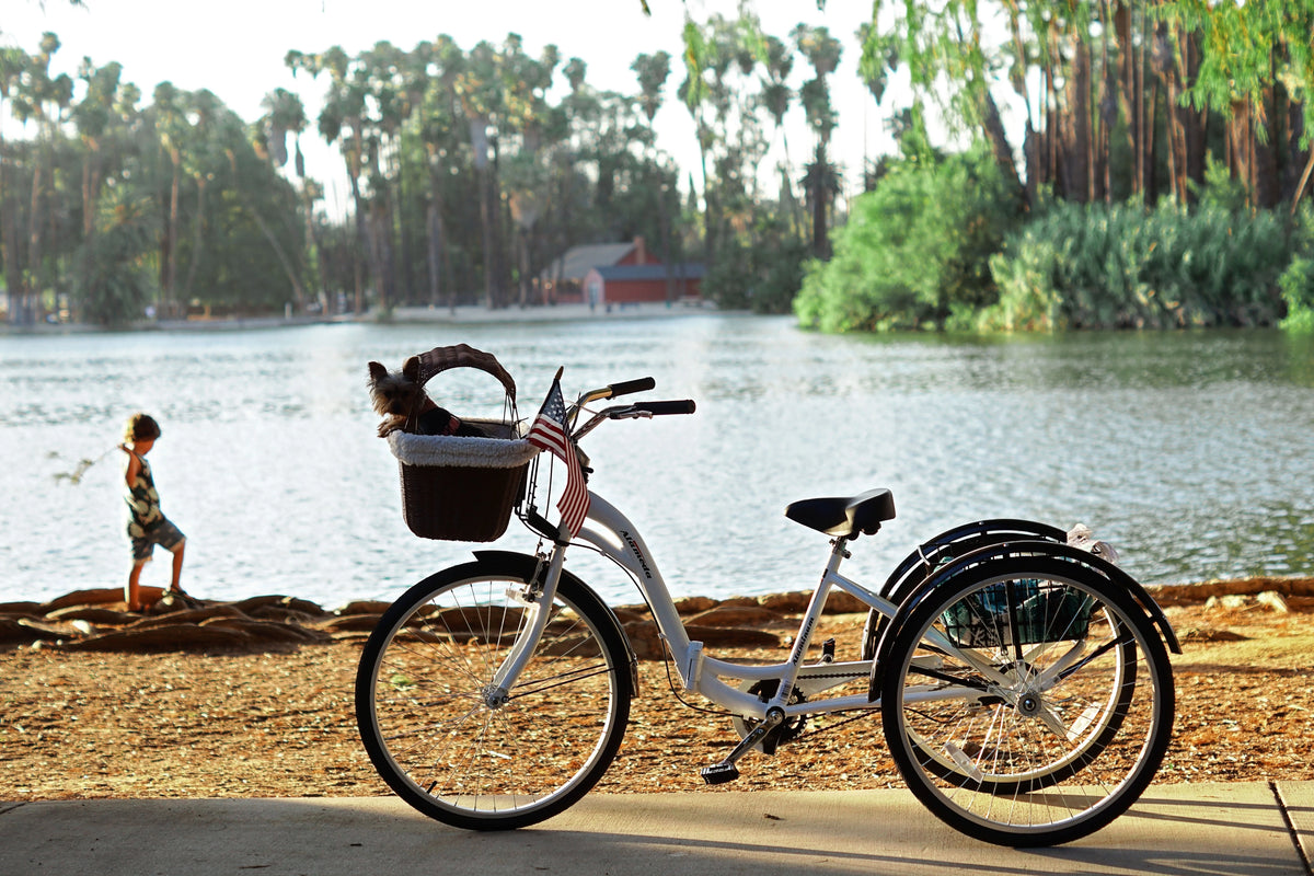 Blue Folding Adult Trike G45650
