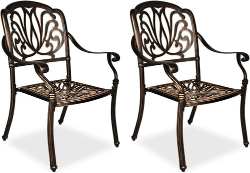 2 Piece Cast Aluminum Bistro Dining Chair Set O687910
