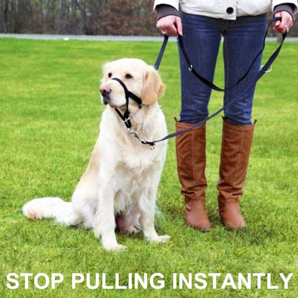 Dog Head Collar No Pull Training Tool E97332