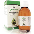 Acer campestre 125 ml Z5147