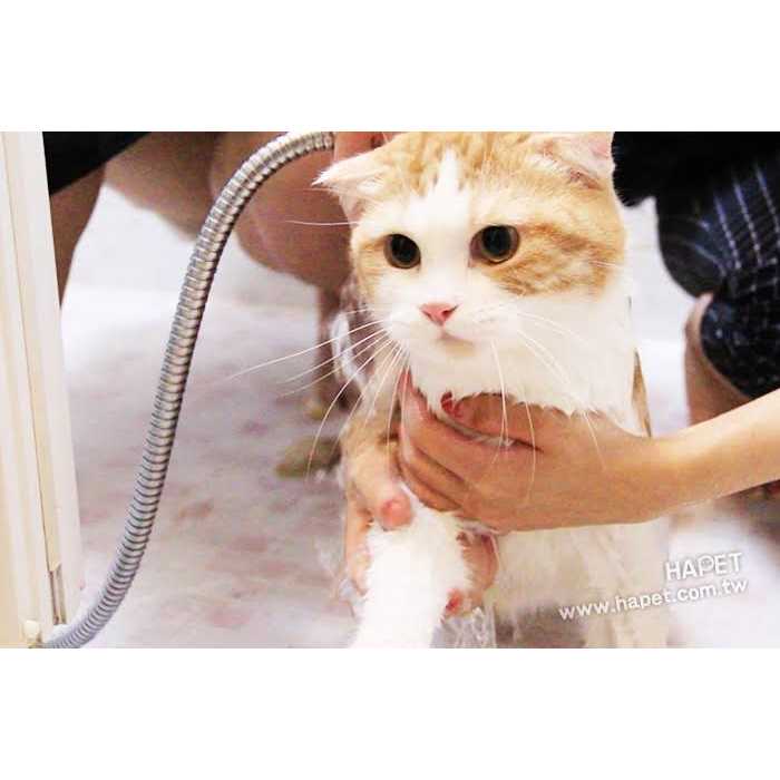 Pet Shampoo A24542