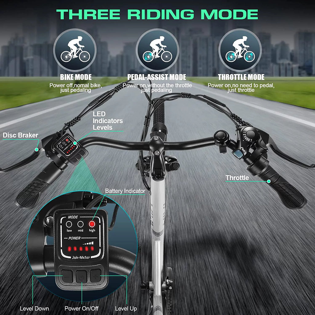 26'' 500W Electric Bike with 48V Removable Battery C10558