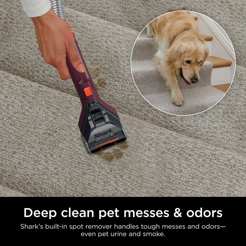 Upright Carpet & Upholstery Cleaner H2918