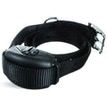 Leash Training Collar R69171