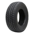 All Season P235/60R14 96T Passenger Tire L424