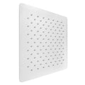 Oversized Shower Head in Chrome A812