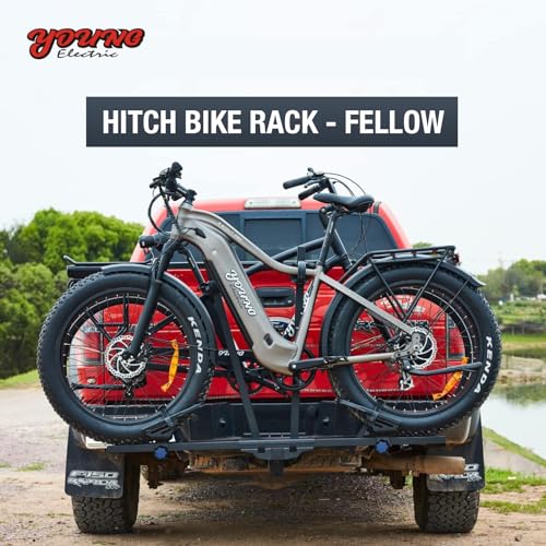 2-Bike Hitch Rack with Ramp, 200 Lbs Capacity E435