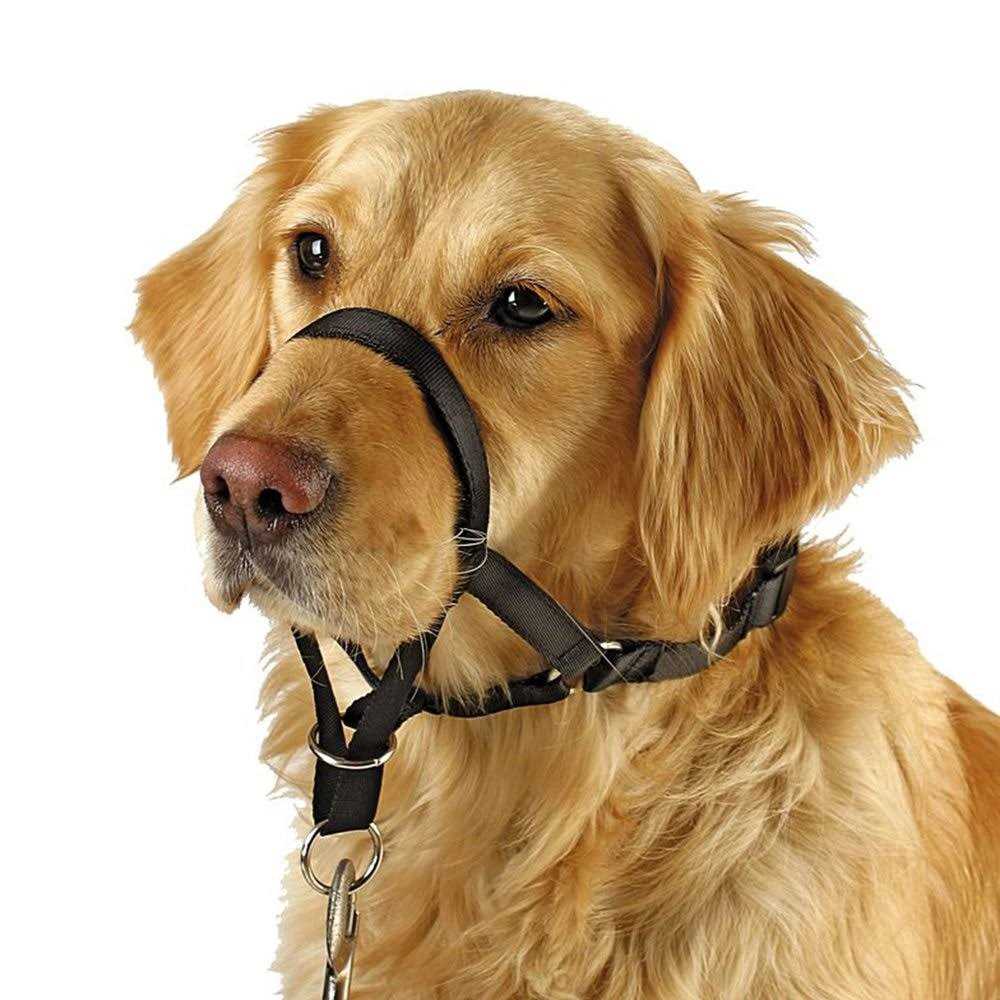 Dog Head Collar No Pull Training Tool E97332