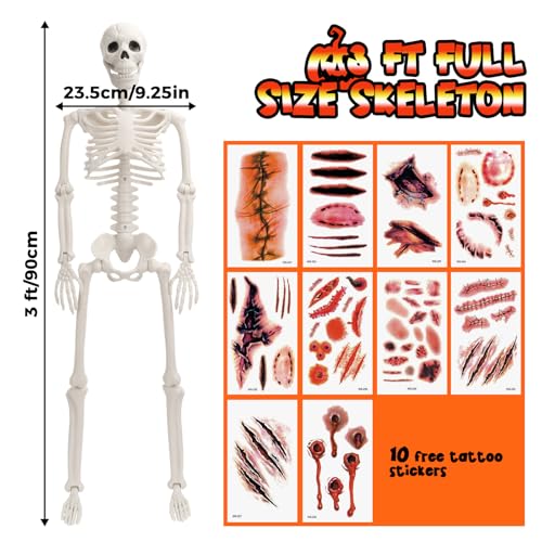 5.4 FT Movable Posable Joints Skeleton G3470