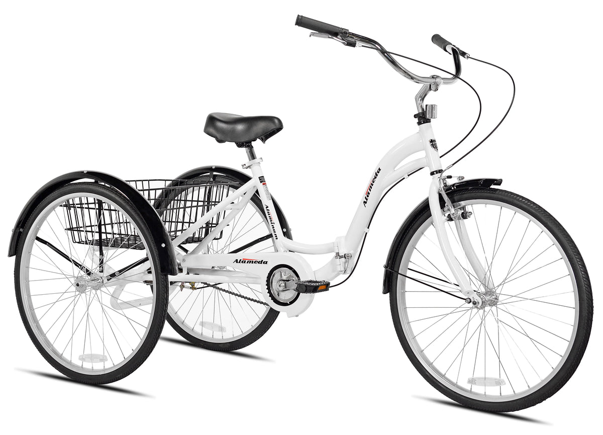 Blue Folding Adult Trike G45650