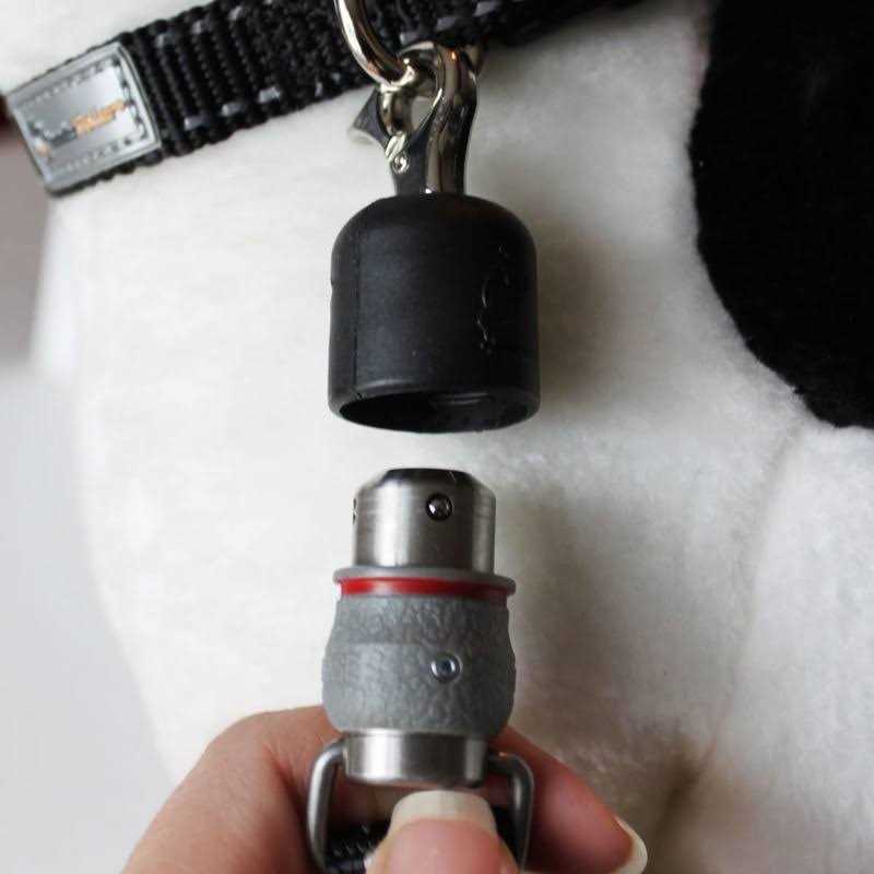 Quick-Connect Dog Leash J854