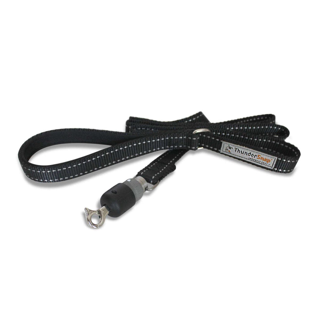 Quick-Connect Dog Leash J854
