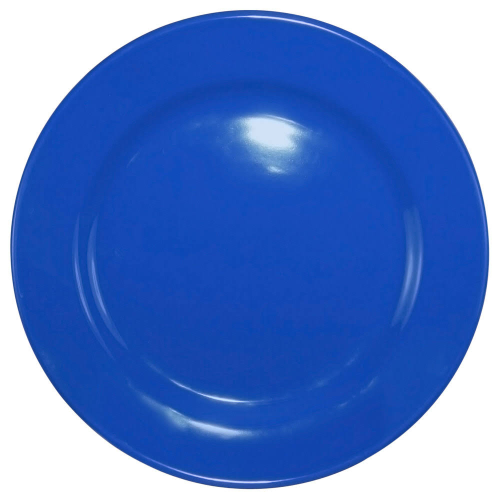Light Blue Stoneware Wide Rim Plate V9209