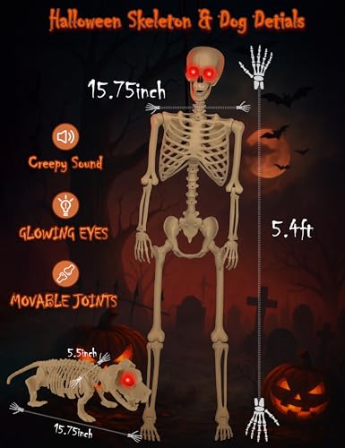 Life Size Skeleton with Glowing Eyes Movable Joints J797167