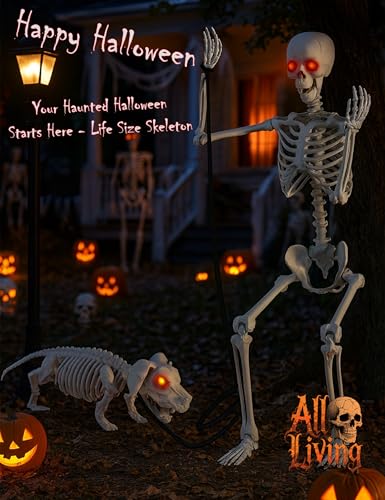 Life Size Skeleton with Glowing Eyes Movable Joints J797167