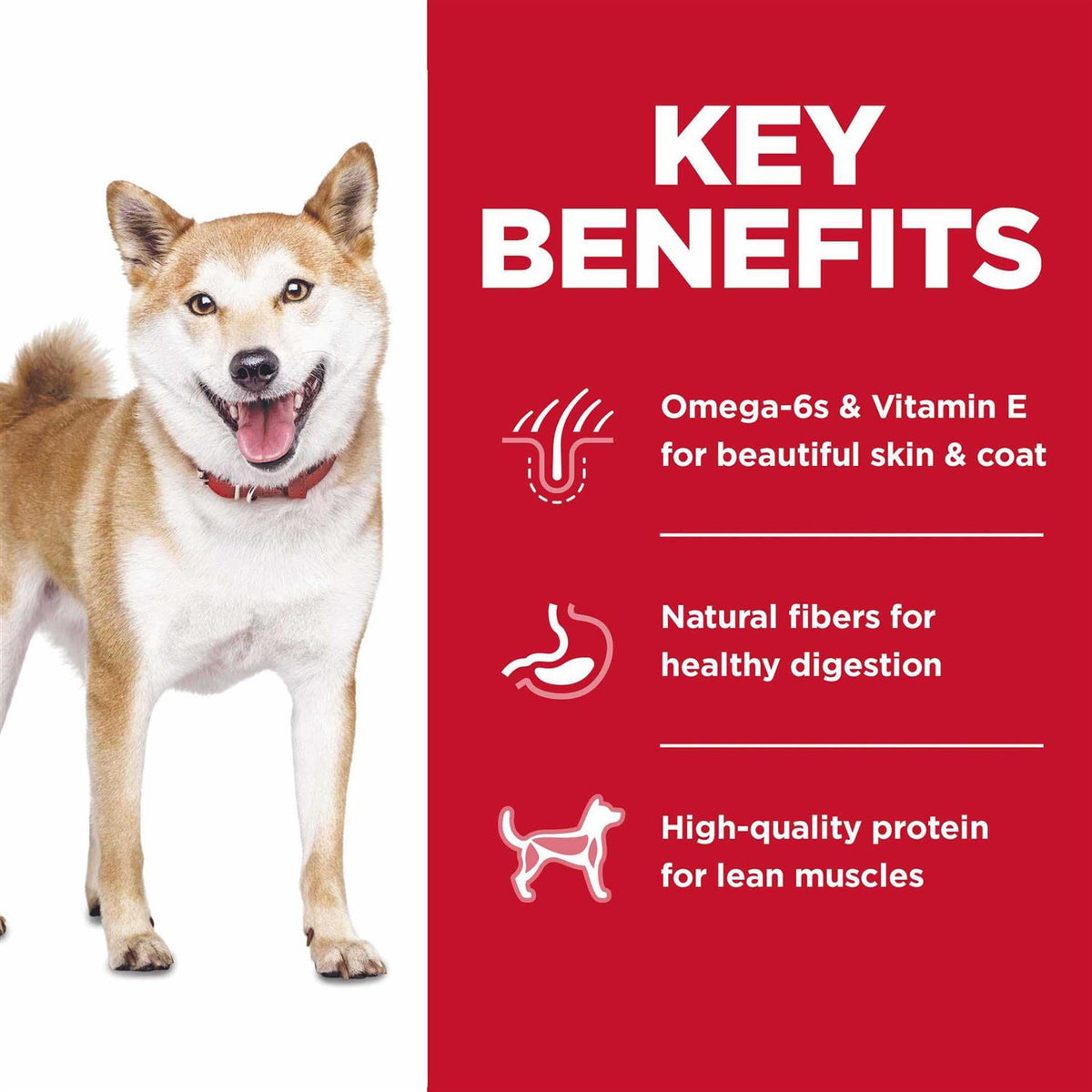 Chicken Dry Dog Food J273
