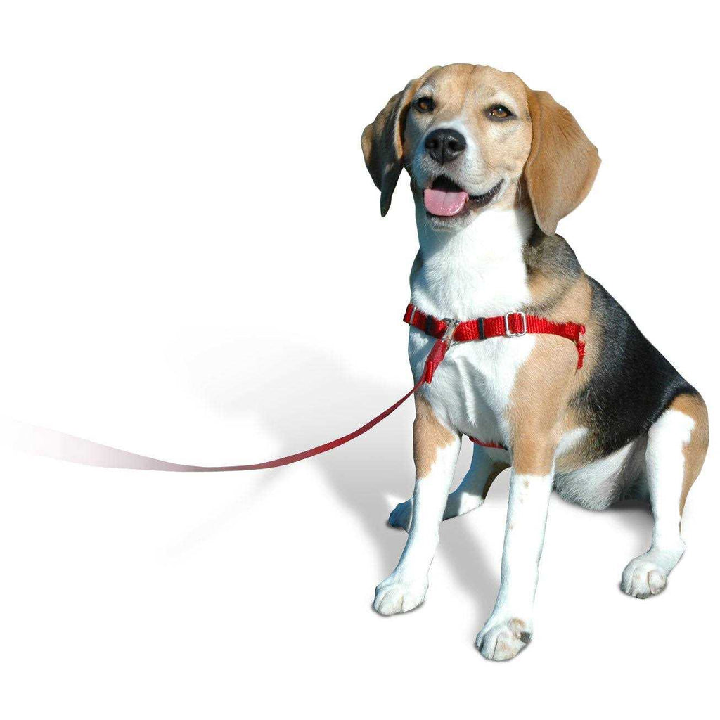 No Pull Dog Harness O75862