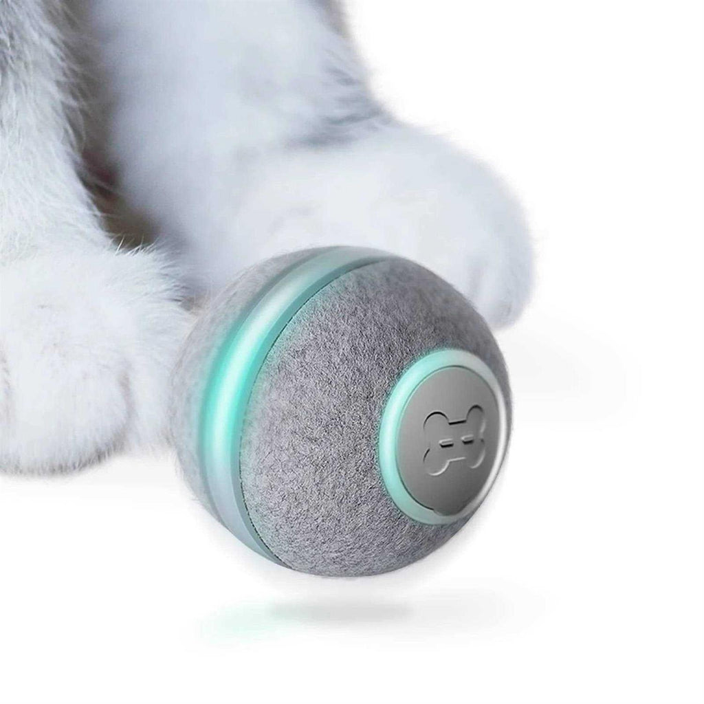 Interactive Cat Toy K481115