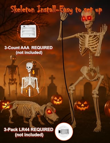 Life Size Skeleton with Glowing Eyes Movable Joints J797167