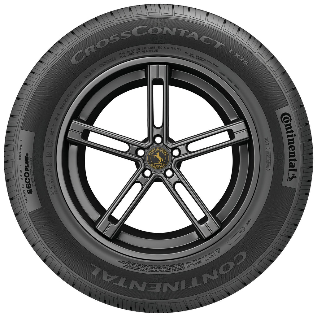 All Season 245/50R20 102H SUV/Crossover Tire R546195