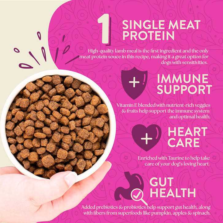 Grain Free Dry Dog Food I12146