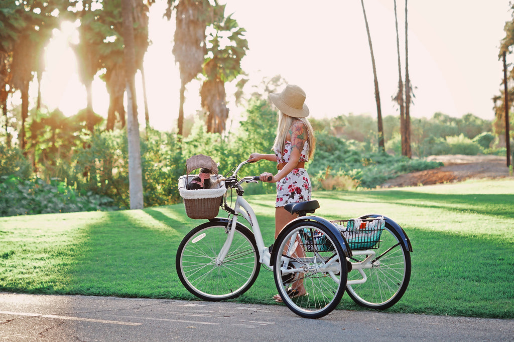 Blue Folding Adult Trike G45650