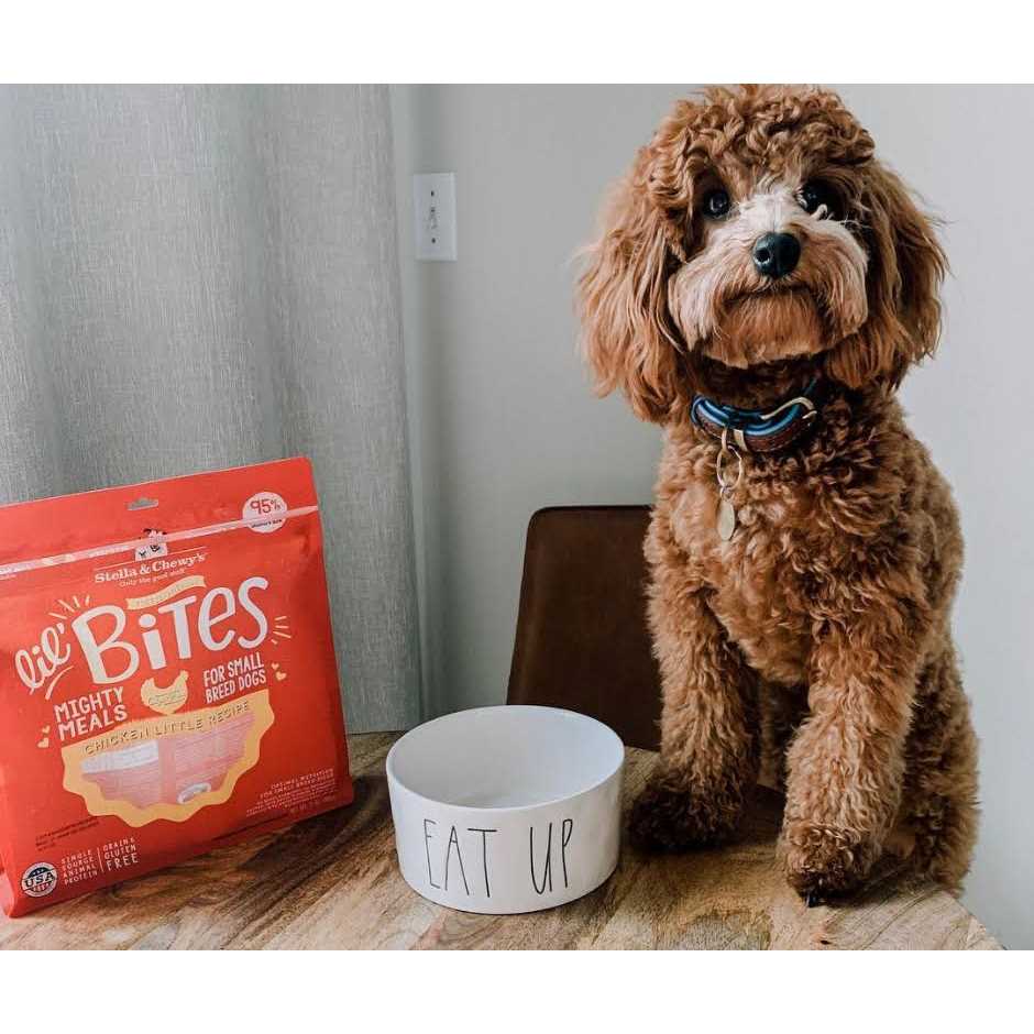 Freeze Dried Chicken Dog Food W568667