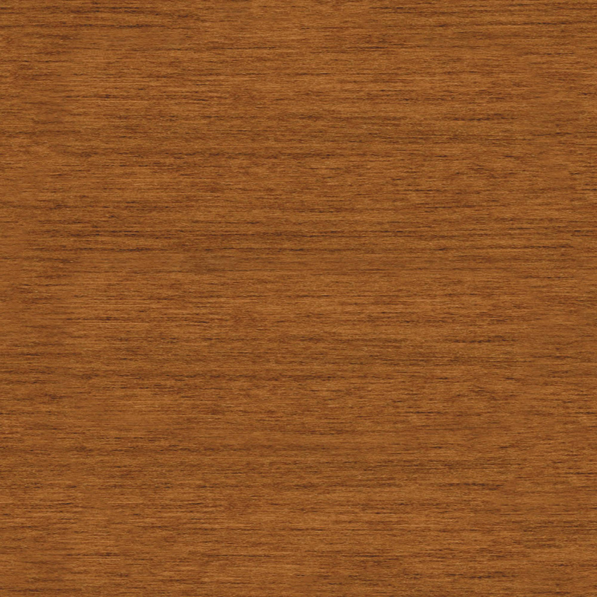 Storage Cabinet with Doors W237489