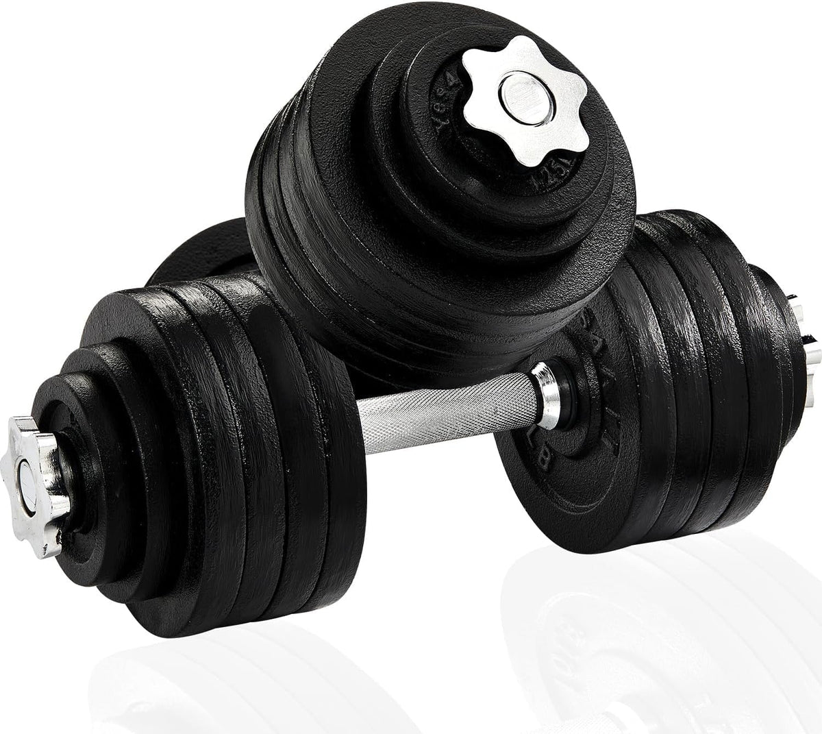 Adjustable 105 lbs Cast Iron Dumbbell Set N73386